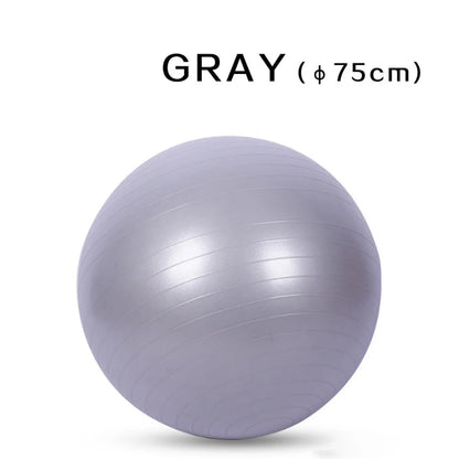 Yoga Fitball Exercise Ball
